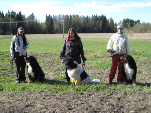 M�llitokon alokasluokka