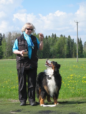 M�llitokon alokasluokka