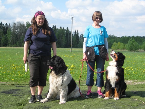 M�llitokon avoinluokka