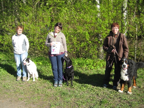 Rallym�llin avoinluokka