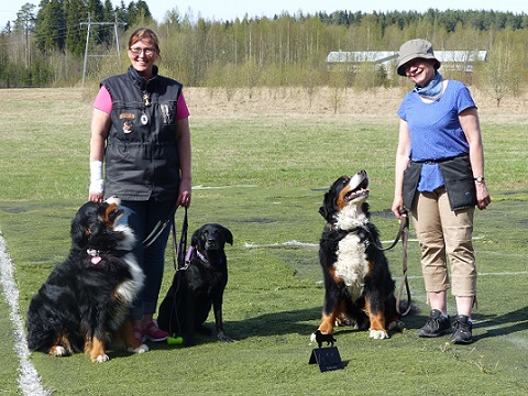 Rallym�llin avoinluokka