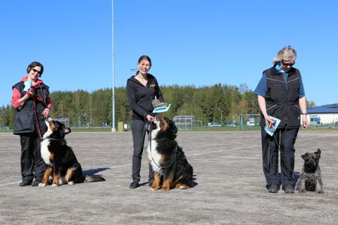 M�llitokon aloittelijaluokka