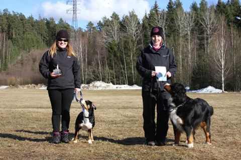 M�llitokon alokasluokka