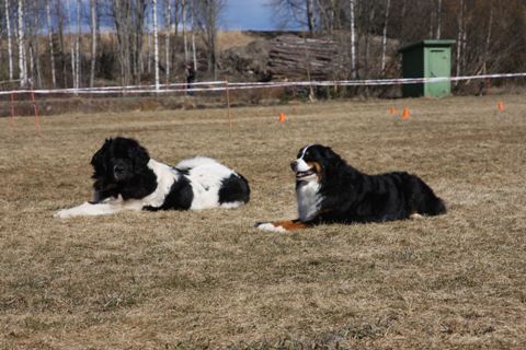 M�llitokon avoinluokka