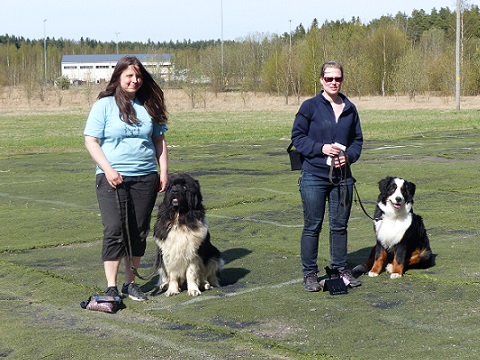 Rallym�llin pentuluokka