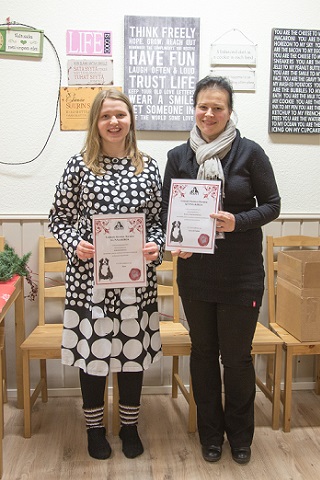 Toko- ja rallydiplomi